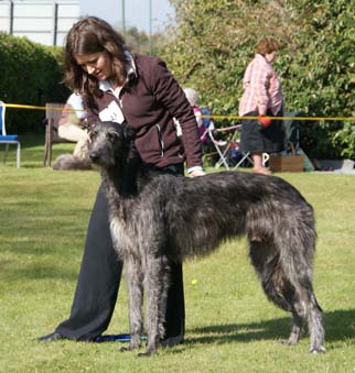 cusidh righ innse gall